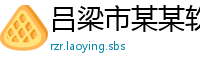 吕梁市某某软件科技有限公司